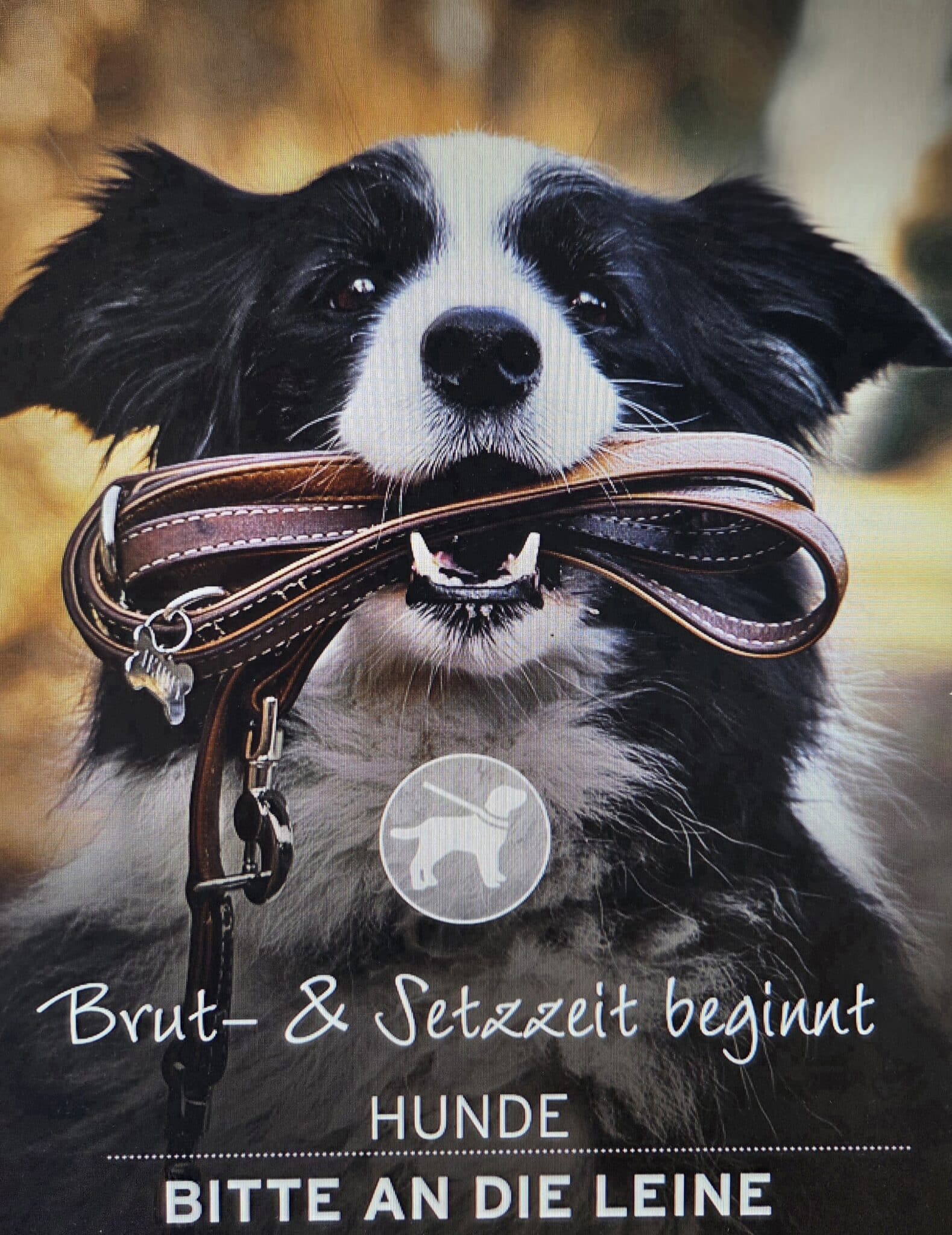 20260319_090914(1)(1)(1)